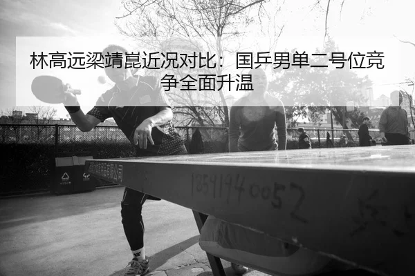 林高远梁靖崑近况对比：国乒男单二号位竞争全面升温